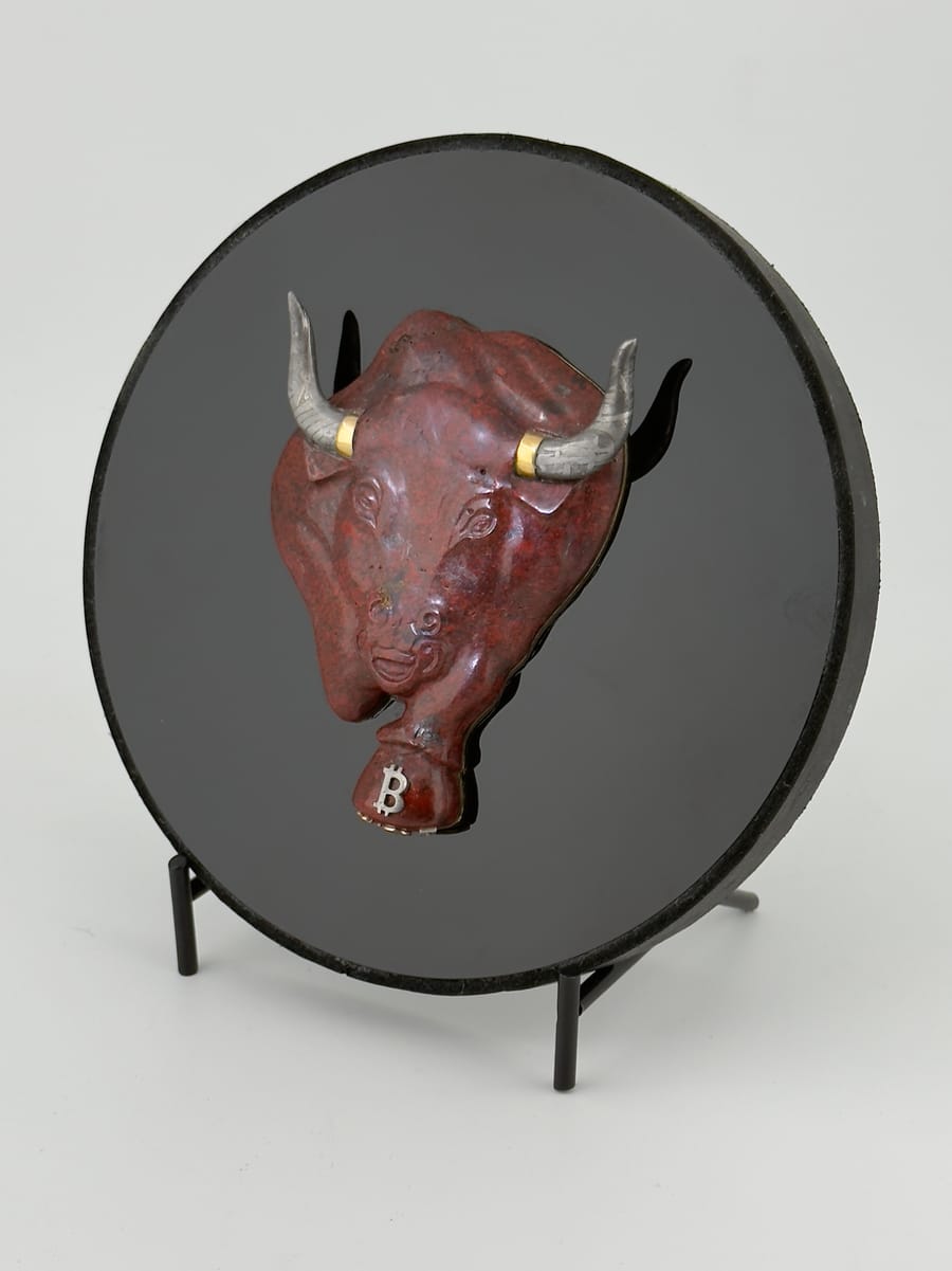 bull-meteorite-jasper-3-4