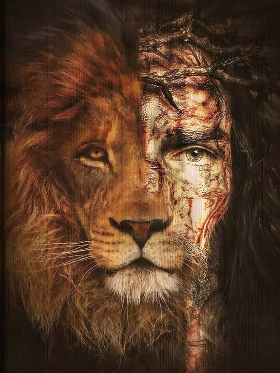 lion-of-Judea-picture-3-4