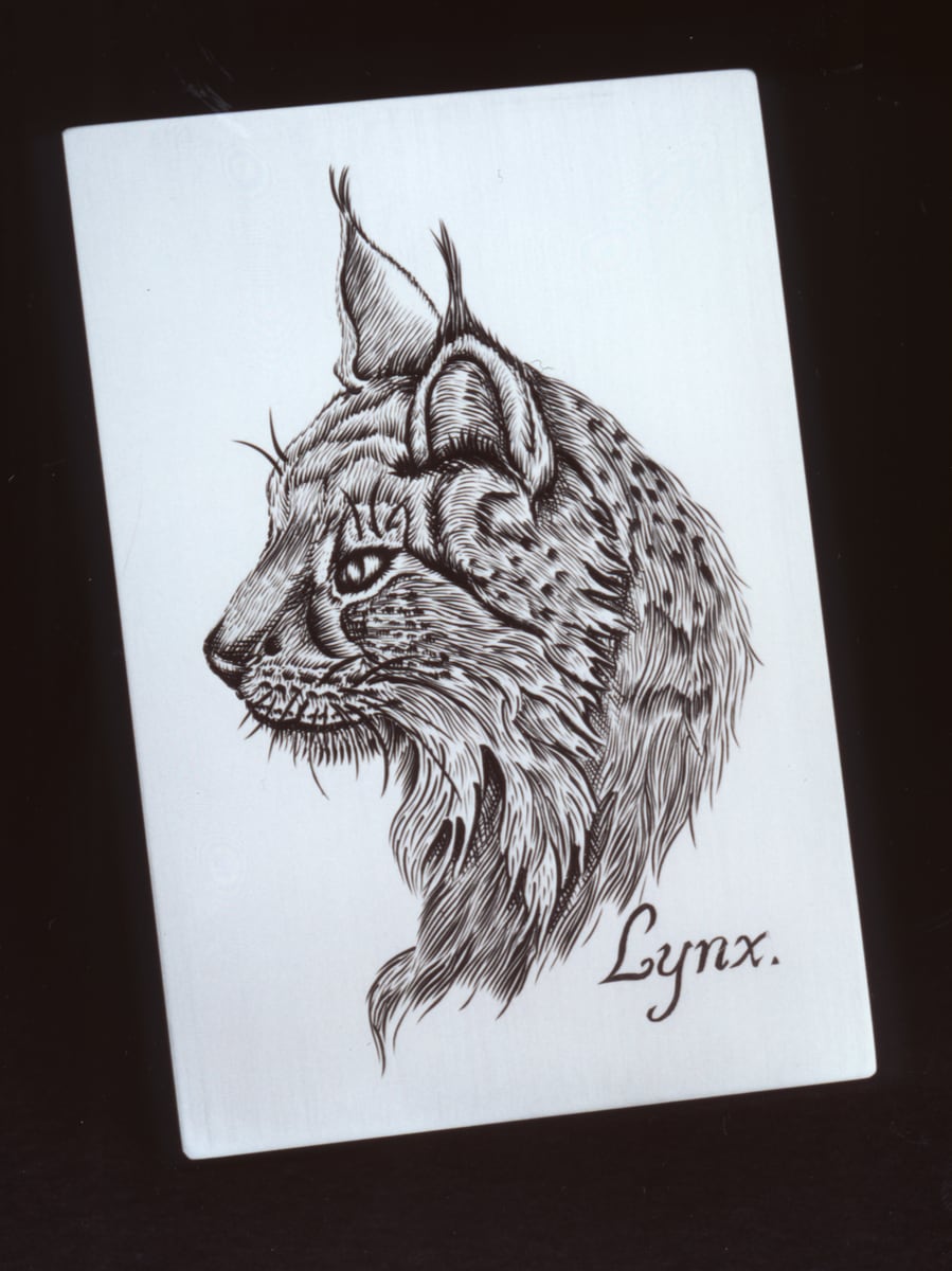 lynx-engraving-master-3-4